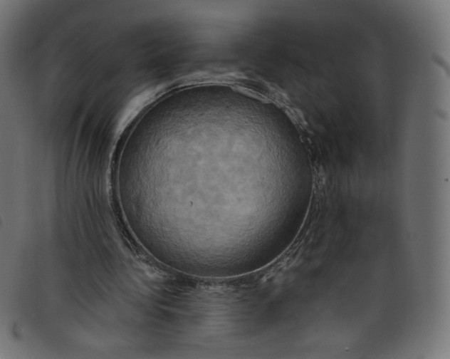 X0000098110340200804251433