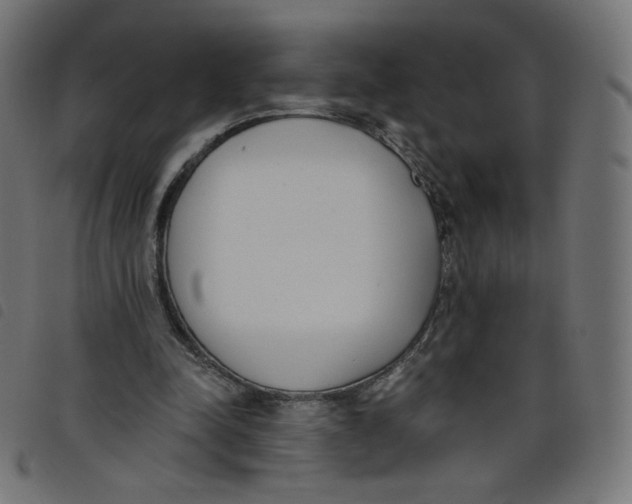 X0000098110342200804251433