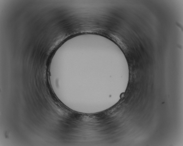 X0000098110346200804251433