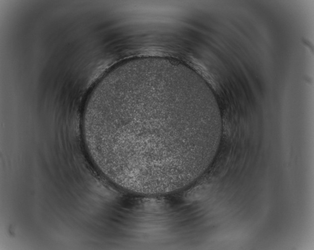 X0000098110347200804251433