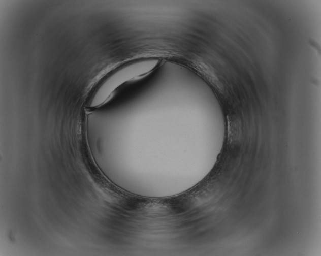 X0000098110348200804251433