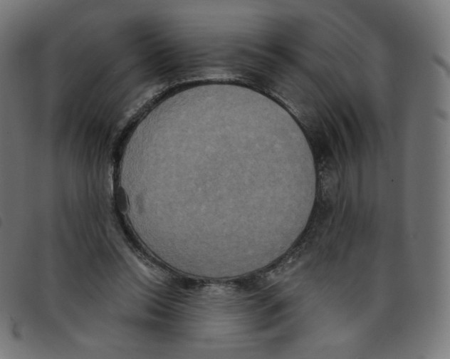 X0000098110350200804251433