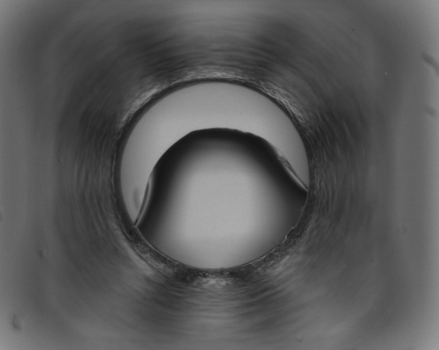 X0000098110352200804251433