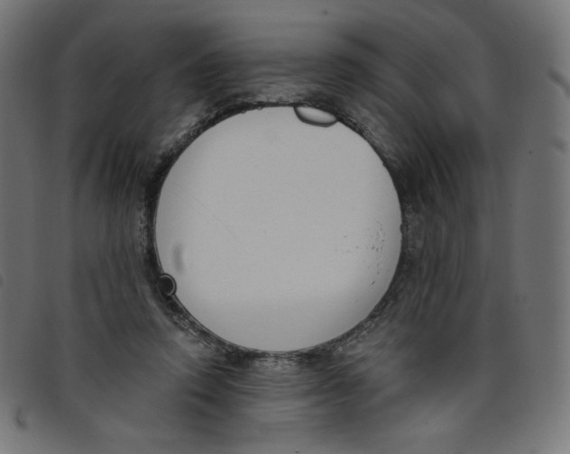 X0000098110354200804251433