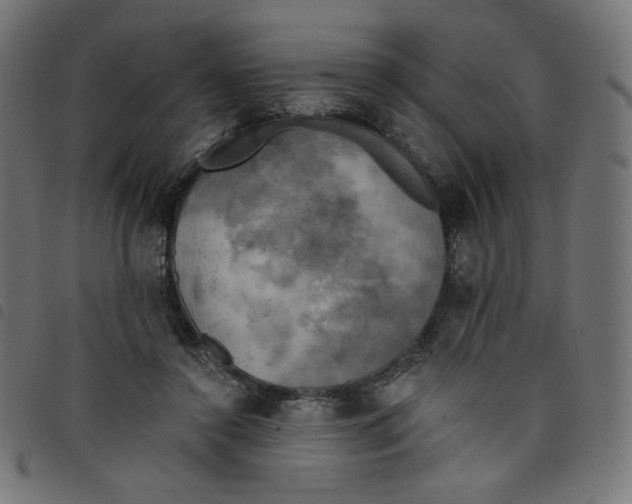 X0000098110356200804251433