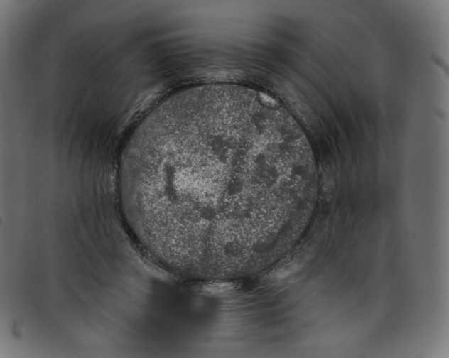 X0000098110357200804251433