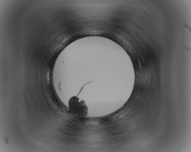 X0000098110358200804251433