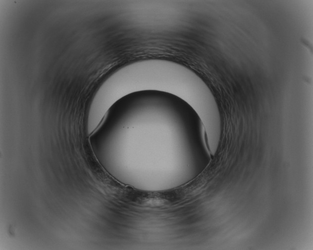 X0000098110360200804251433