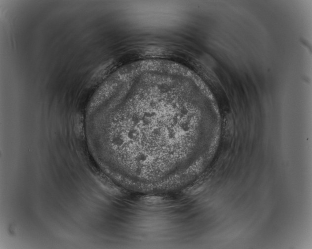 X0000098110361200804251433