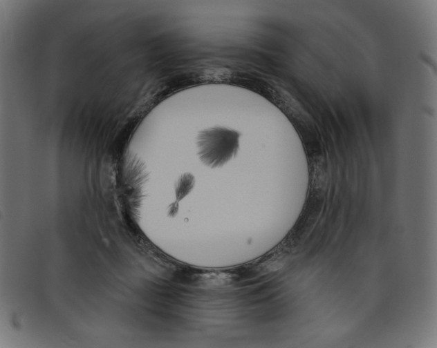 X0000098110363200804251433