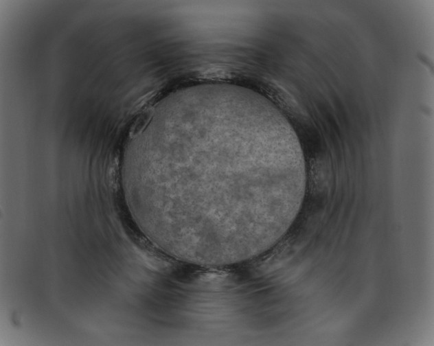 X0000098110364200804251433