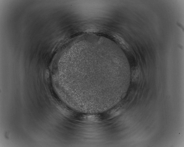 X0000098110365200804251433