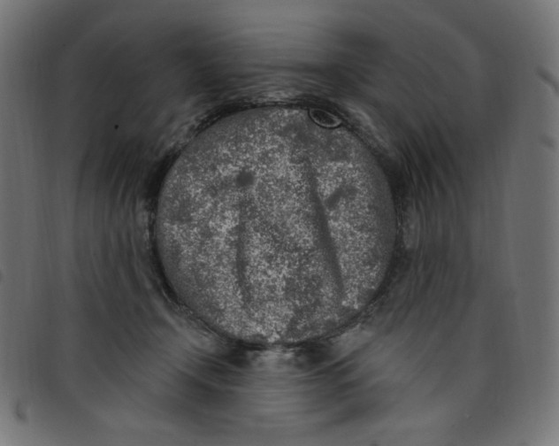 X0000098110366200804251433