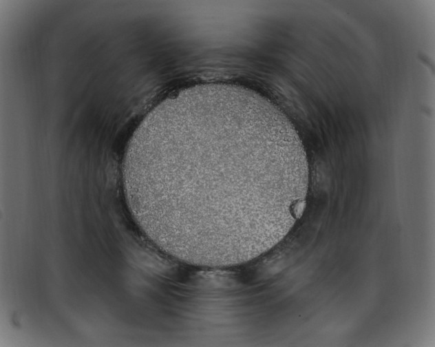 X0000098110367200804251433