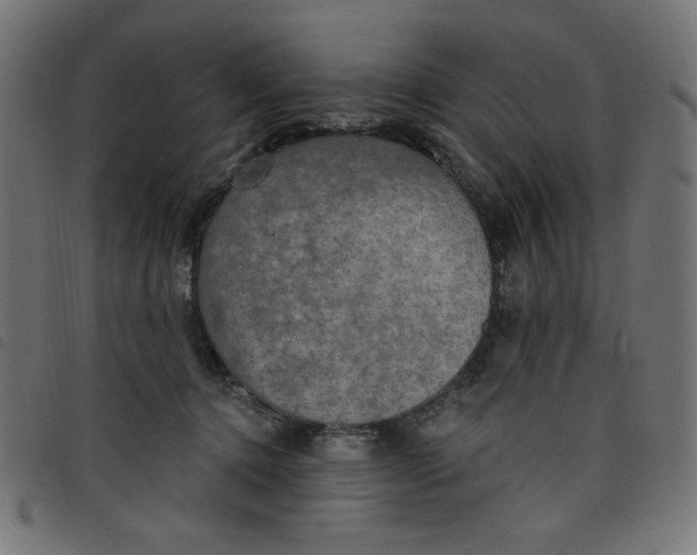 X0000098110368200804251433