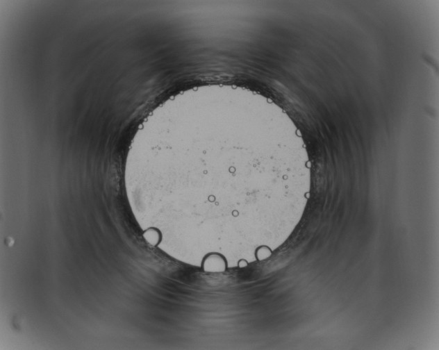 X0000098110370200804251433