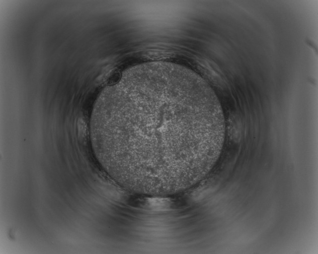 X0000098110371200804251433