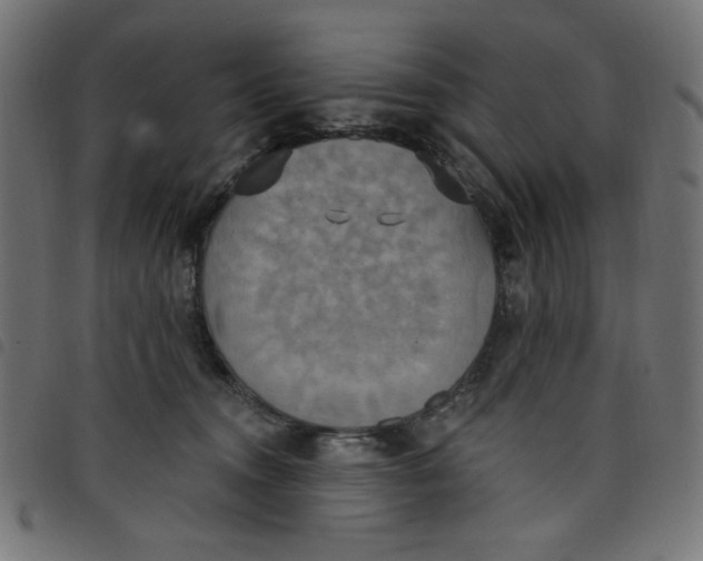 X0000098110372200804251433