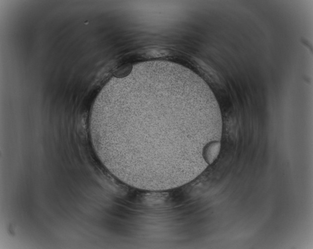 X0000098110373200804251433