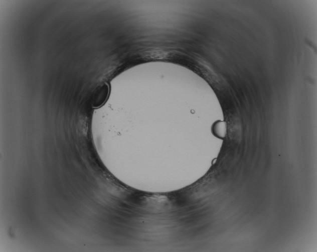 X0000098110374200804251433