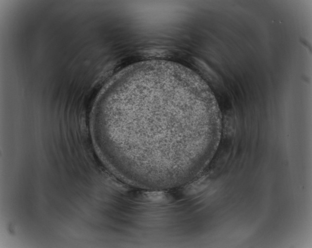 X0000098110377200804251433