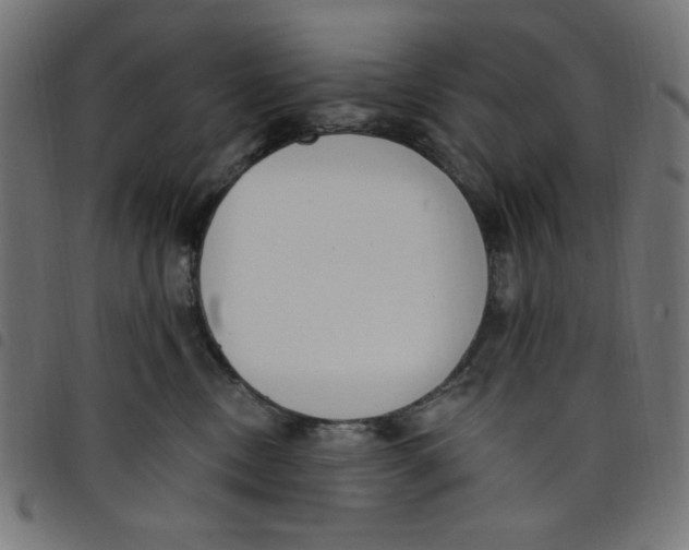 X0000098110378200804251434