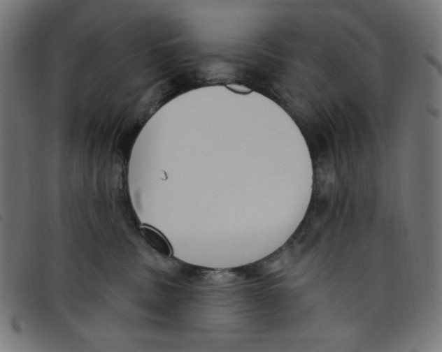 X0000098110379200804251434