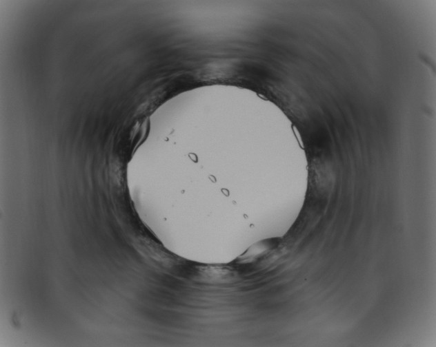 X0000098110380200804251434