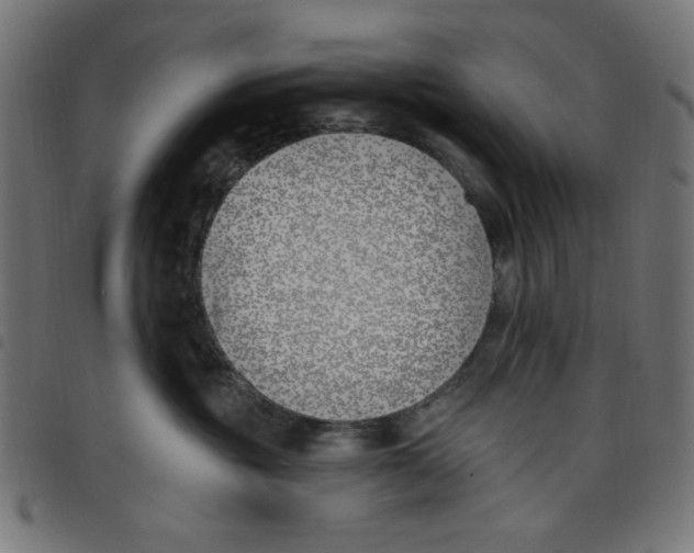 X0000098110381200804251434