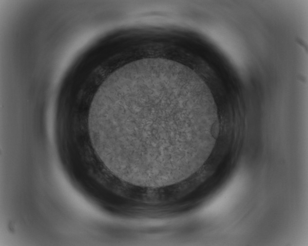 X0000098110383200804251434