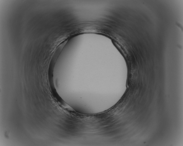 X0000098110385200804251433