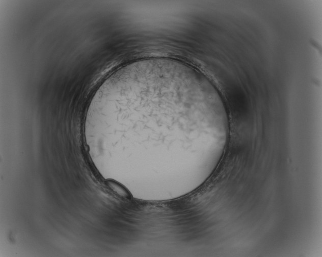 X0000098110386200804251433