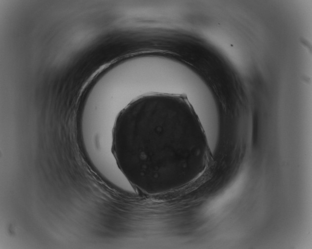 X0000098110387200804251433