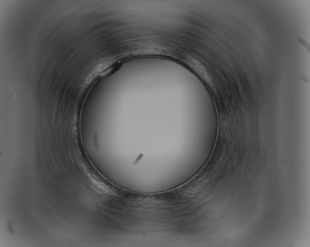 X0000098110389200804251433