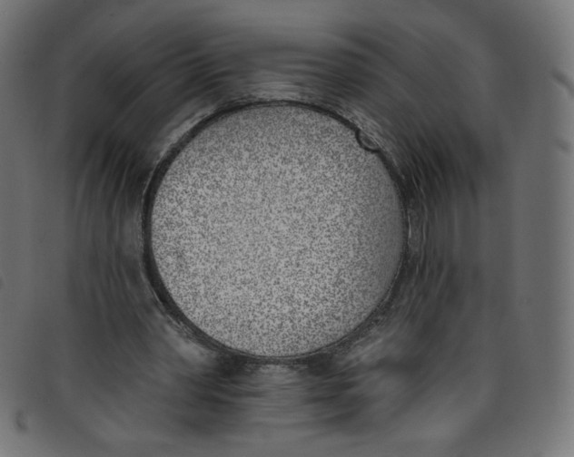 X0000098110390200804251433