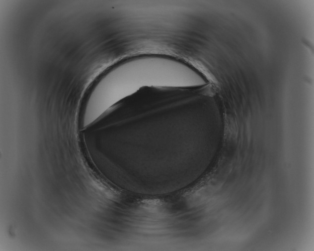 X0000098110391200804251433