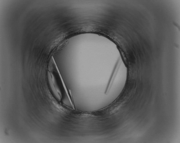 X0000098110393200804251433