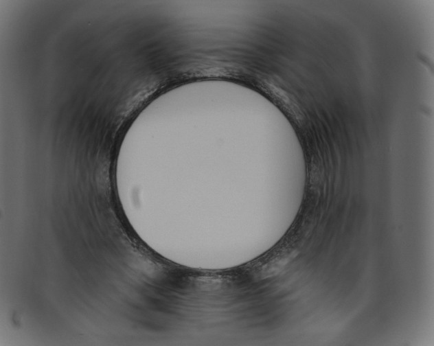 X0000098110394200804251433