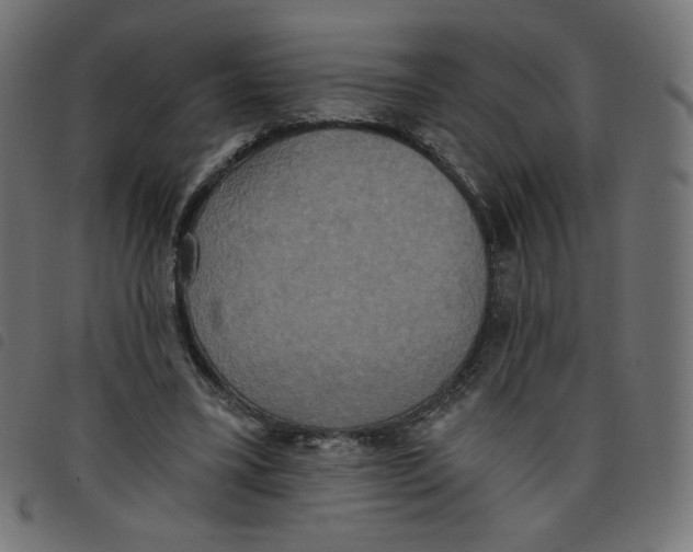 X0000098110395200804251433