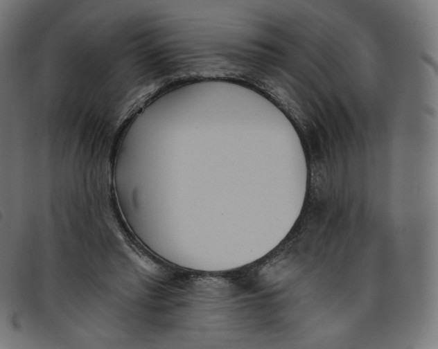 X0000098110397200804251433