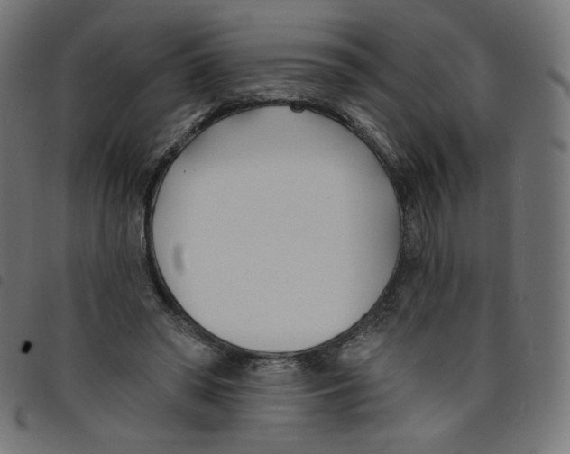 X0000098110398200804251433