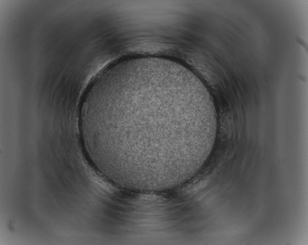 X0000098110399200804251433