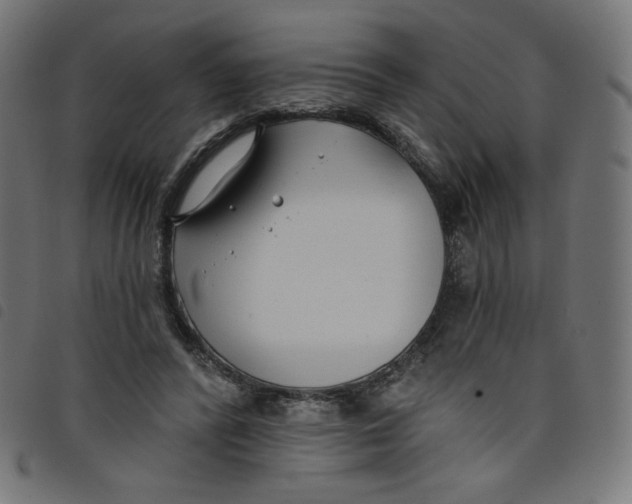 X0000098110400200804251433