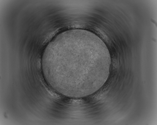 X0000098110401200804251433