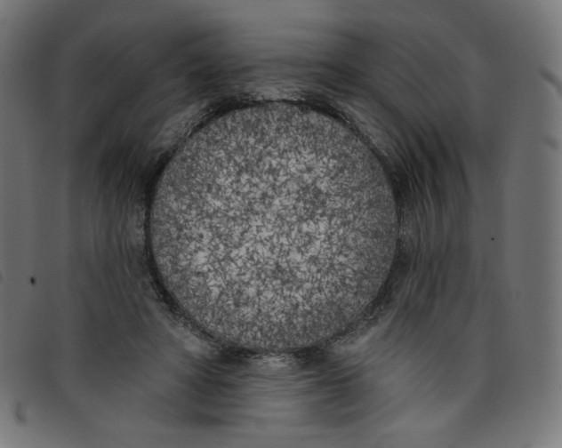 X0000098110402200804251433