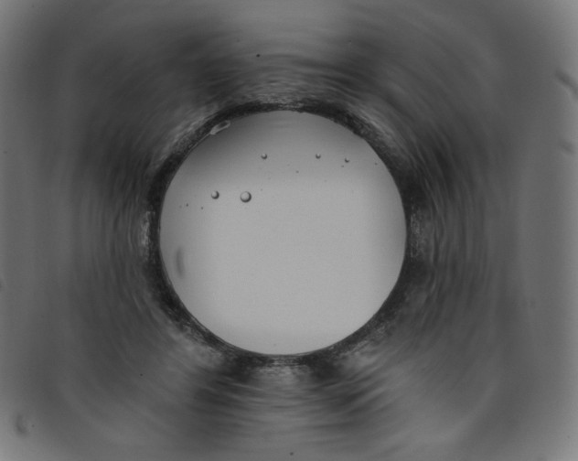 X0000098110404200804251432