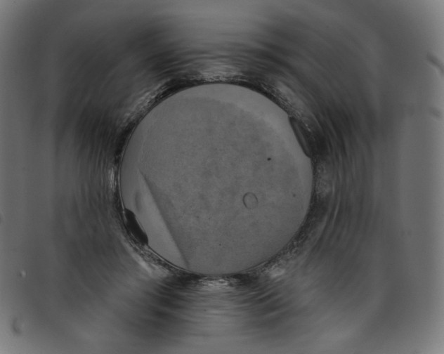 X0000098110405200804251432