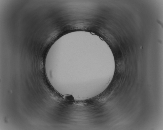 X0000098110407200804251432