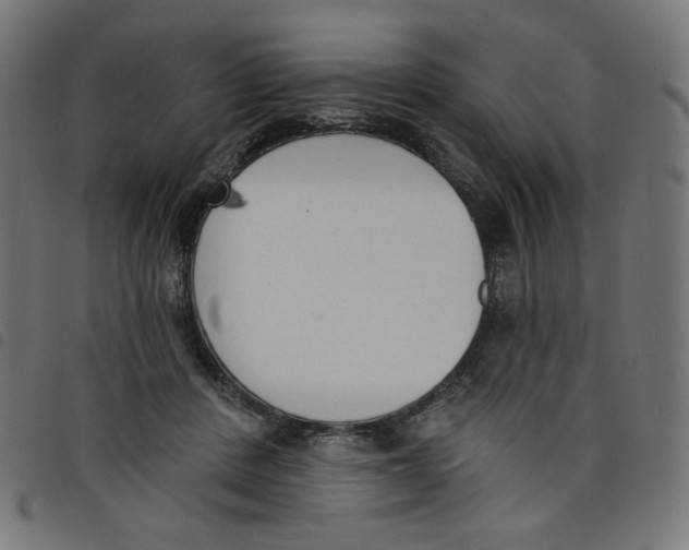 X0000098110408200804251432