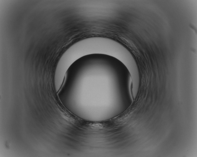 X0000098110409200804251432